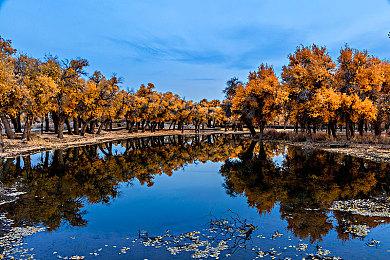 育碧副总裁Chris：数字版游戏才是未来